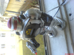 exfon bot