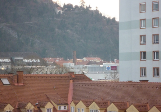AmFreigarten12