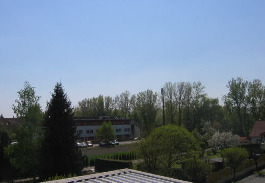 murfeld49