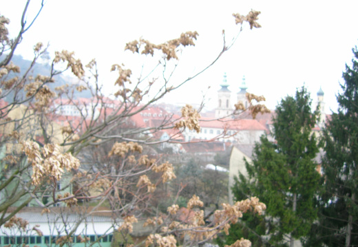 marschallgasse