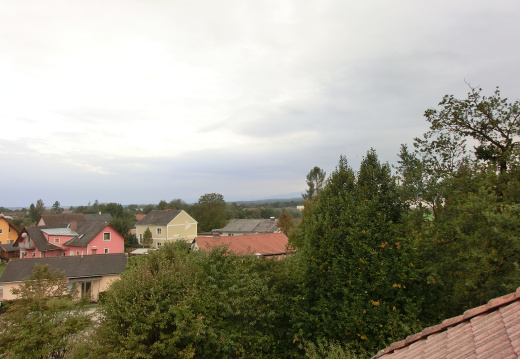 Leini