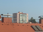 PXL 20240903 065550313